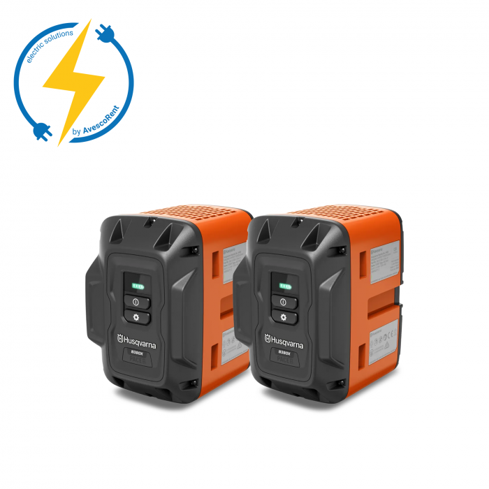 Set 2 batteries B380X + 1 chargeur K1PACE - Location